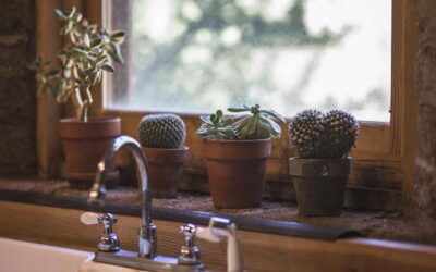 Critical Tips for Keeping Your Kitchen Plumbing Leak-Free