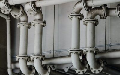 Getting A Better Idea Of The Most Notable Causes Of A Damaged Sewer Line