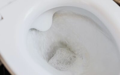 Tips on Understanding Why Your Toilet Keeps Clogging Up