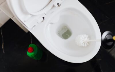 Pivotal Ways To Help Prevent Your Toilet From Overflowing