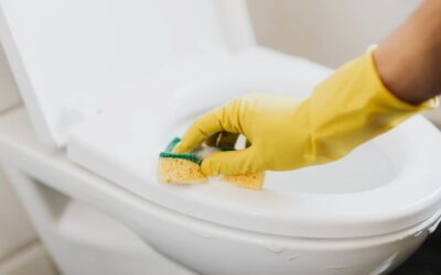 Critical Advice On Understanding How A Toilet Tank Works