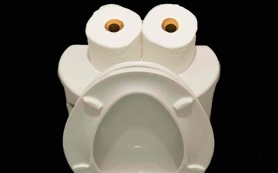 Great Tips On Properly Installing a Glacier Bay Dual Flush Toilet